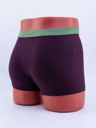 Однотонные мужские боксеры с цветным эластичным поясом - фото 3